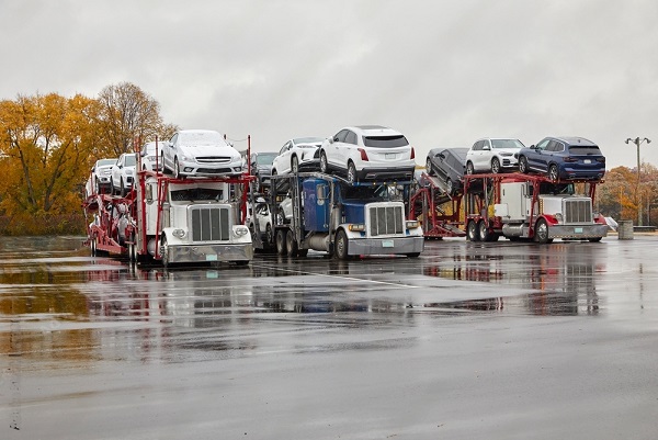 families-and-car-buyers-shipping.